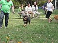 img 155